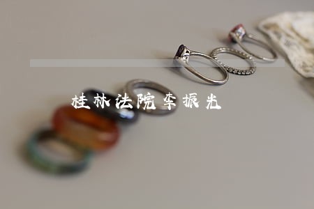桂林法院李振光
