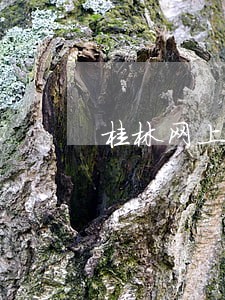 桂林网上的法律咨询 桂林网上的法律咨询