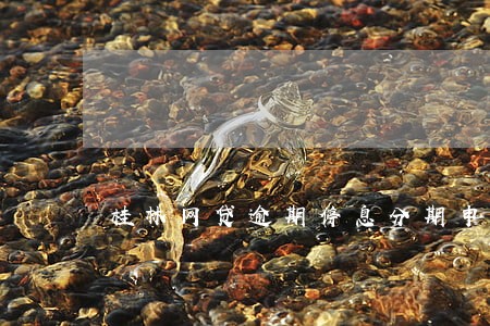 桂林网贷逾期停息分期申请条件 桂林网贷逾期停息分期申请条件