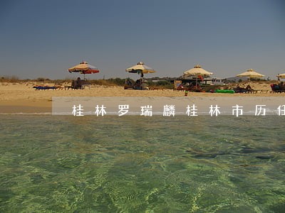 桂林罗瑞麟桂林市历任司法局局长 桂林罗瑞麟桂林市历任司法局局长