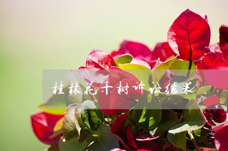桂林花千树诉讼结果 桂林花千树诉讼结果