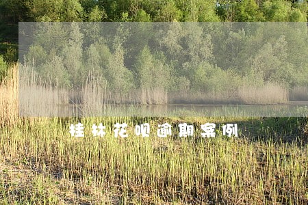 桂林花呗逾期案例