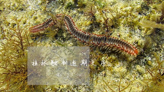 桂林融创逾期交房 桂林融创逾期交房