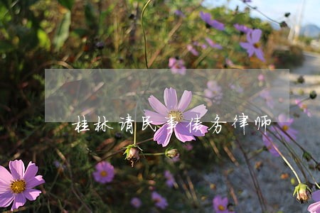 桂林请民事债务律师 桂林请民事债务律师