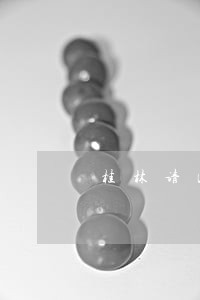 桂林请民事债务律师风险代理 桂林请民事债务律师风险代理