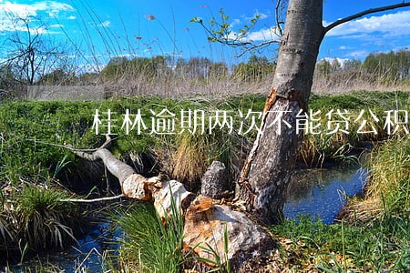 桂林逾期两次不能贷公积金 桂林逾期两次不能贷公积金
