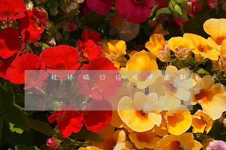 桂林银行信用卡逾期3天