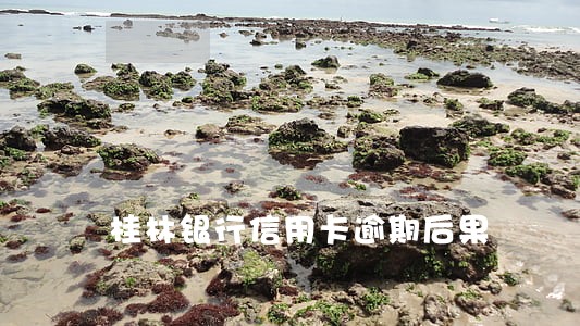 桂林银行信用卡逾期后果
