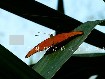 桂林银行信用卡逾期好协商吗 桂林银行信用卡逾期好协商吗