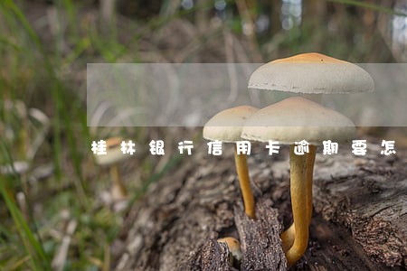 桂林银行信用卡逾期要怎么还 桂林银行信用卡逾期要怎么还