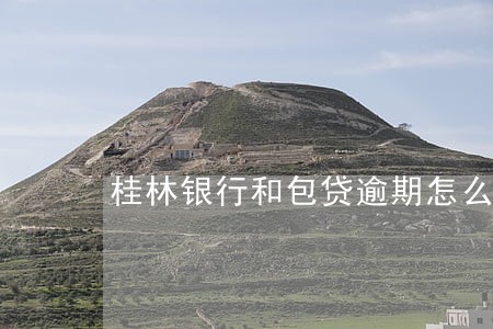 桂林银行和包贷逾期怎么办 桂林银行和包贷逾期怎么办