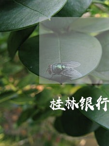 桂林银行被司法冻结 桂林银行被司法冻结