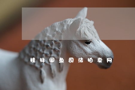 桂林闲鱼司法拍卖网 桂林闲鱼司法拍卖网