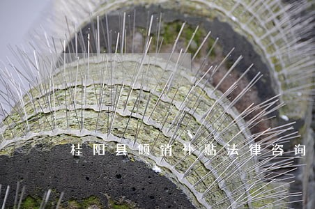 桂阳县倾销补贴法律咨询热线 桂阳县倾销补贴法律咨询热线