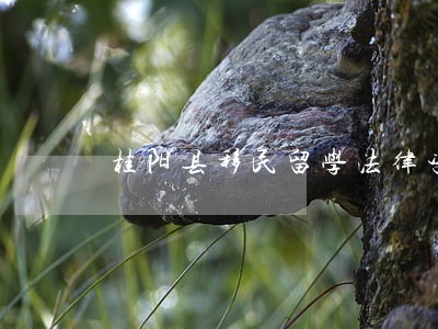 桂阳县移民留学法律咨询热线