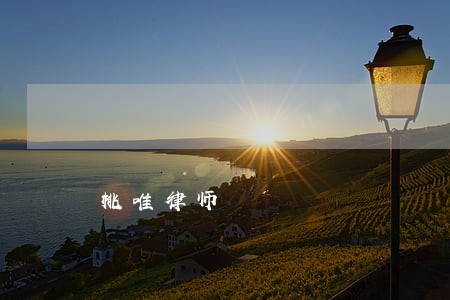 桃唯律师