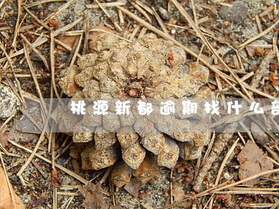 桃源新都逾期找什么部门解决 桃源新都逾期找什么部门解决