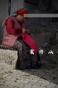 案件从检查院移交到法院了