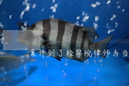 案件到了检察院律师为当事人做哪些工作 案件到了检察院律师为当事人做哪些工作