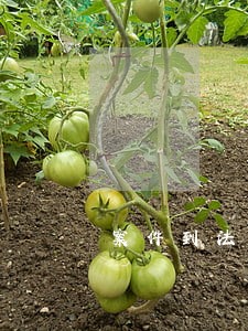 案件到法院犯人会知道吗 案件到法院犯人会知道吗