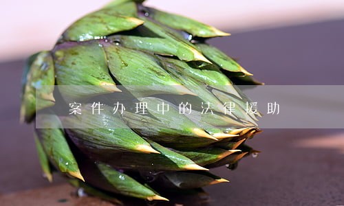 案件办理中的法律援助 案件办理中的法律援助