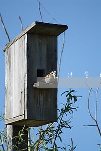 案件受理冻结银行卡