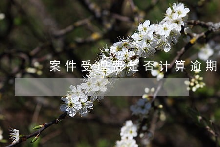 案件受理费是否计算逾期利息 案件受理费是否计算逾期利息