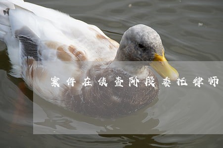 案件在侦查阶段委托律师作用大吗 案件在侦查阶段委托律师作用大吗