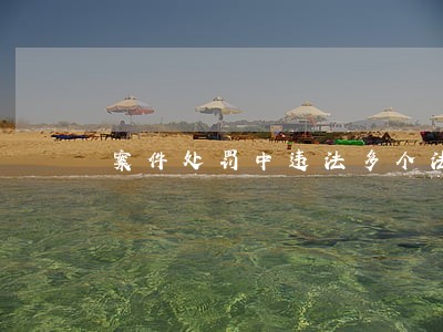 案件处罚中违法多个法律