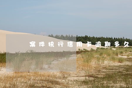 案件执行信用卡逾期多久会上征信 案件执行信用卡逾期多久会上征信