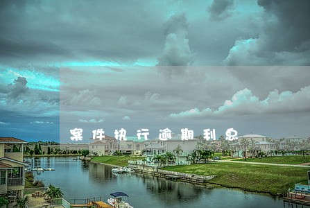 案件执行逾期利息 案件执行逾期利息
