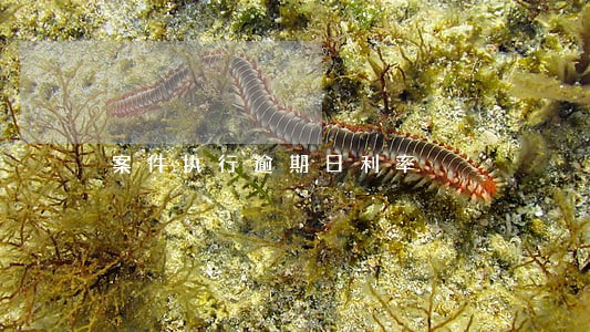 案件执行逾期日利率 案件执行逾期日利率