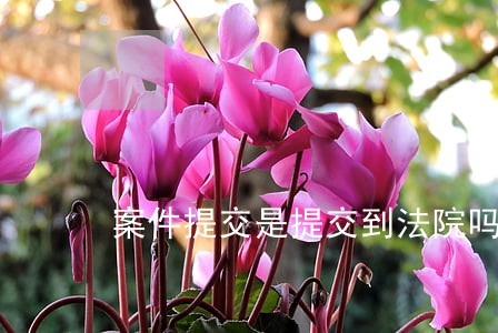 案件提交是提交到法院吗 案件提交是提交到法院吗