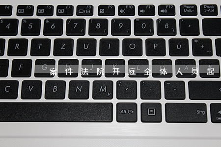 案件法院开庭全体人员起立