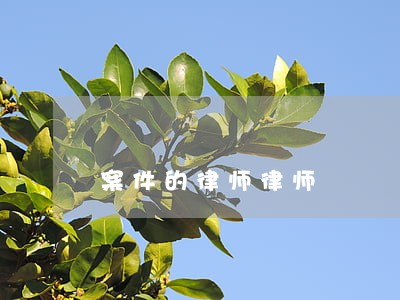 案件的律师律师 案件的律师律师