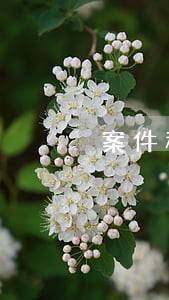 案件移送法院续冻 案件移送法院续冻