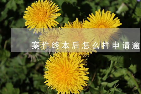案件终本后怎么样申请逾期利息