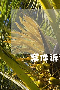 案件诉讼时效不足十个月
