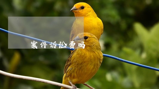 案件诉讼费吗 案件诉讼费吗