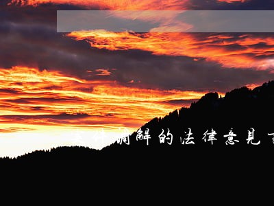 案件调解的法律意见书