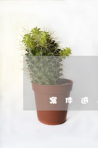 案件进入法院案情会变吗 案件进入法院案情会变吗