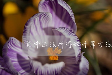 案件违法所得的计算方法是什么 案件违法所得的计算方法是什么