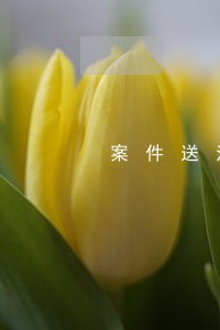 案件送法院都要审判吗 案件送法院都要审判吗