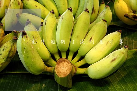案件逾期付款利息计算 案件逾期付款利息计算