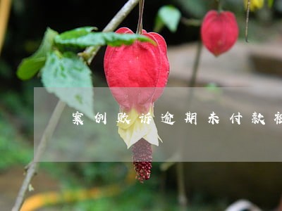 案例败诉逾期未付款被冻结 案例败诉逾期未付款被冻结