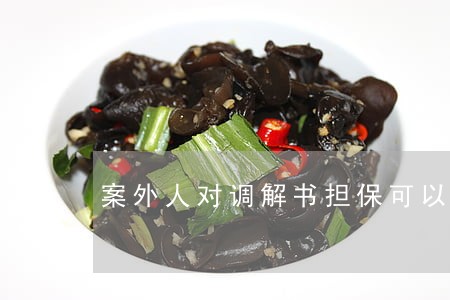 案外人对调解书担保可以诉讼