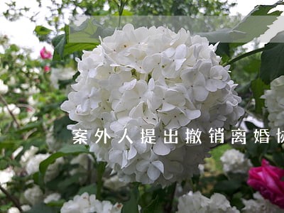 案外人提出撤销离婚协议 案外人提出撤销离婚协议