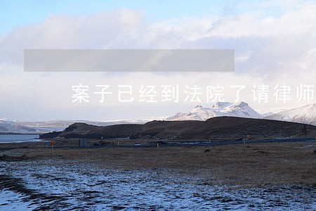 案子已经到法院了请律师可以吗 案子已经到法院了请律师可以吗
