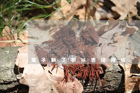 案子翻了可以告法院吗 案子翻了可以告法院吗