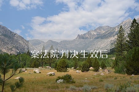 案法院判决生效后 案法院判决生效后